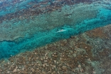 lagon.jpg