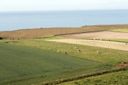 Photo aérienne - Életot - France