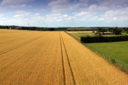 Photo aérienne - Agudelle - France