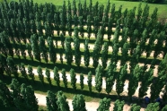 Photo aérienne - Romanèche-Thorins - France