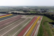 Photo aérienne - Penmarch - France