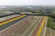 Photo aérienne - Penmarch - France
