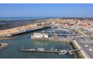 Photo aérienne - Saint-Pierre-d'Oléron - France