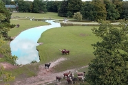 Photo aérienne - Le Guerno - France