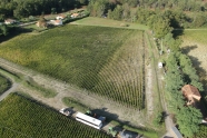 Photo aérienne - Saint-Estèphe - France