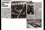 article DL 'les enfants du cathé'